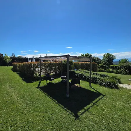 The Green Guest House-3